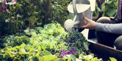 Pest-Proofing Your Garden
