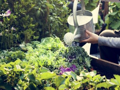 Pest-Proofing Your Garden